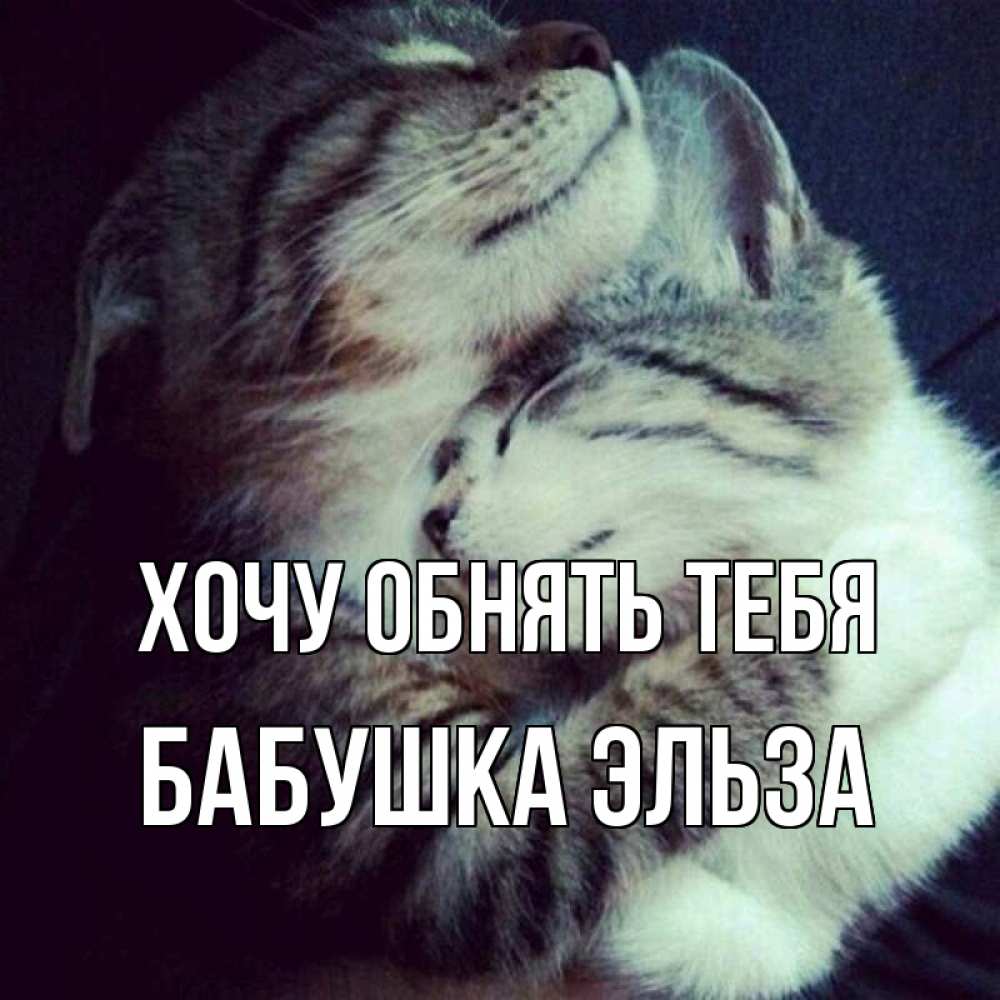 Открытка на каждый день с именем, Бабушка-Эльза Хочу обнять тебя полосатики Прикольная открытка с пожеланием онлайн скачать бесплатно 