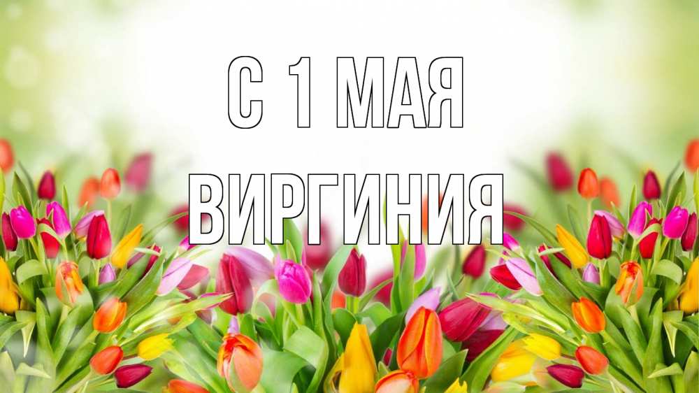 Открытка на каждый день с именем, Виргиния С 1 мая С 1 мая Прикольная открытка с пожеланием онлайн скачать бесплатно 
