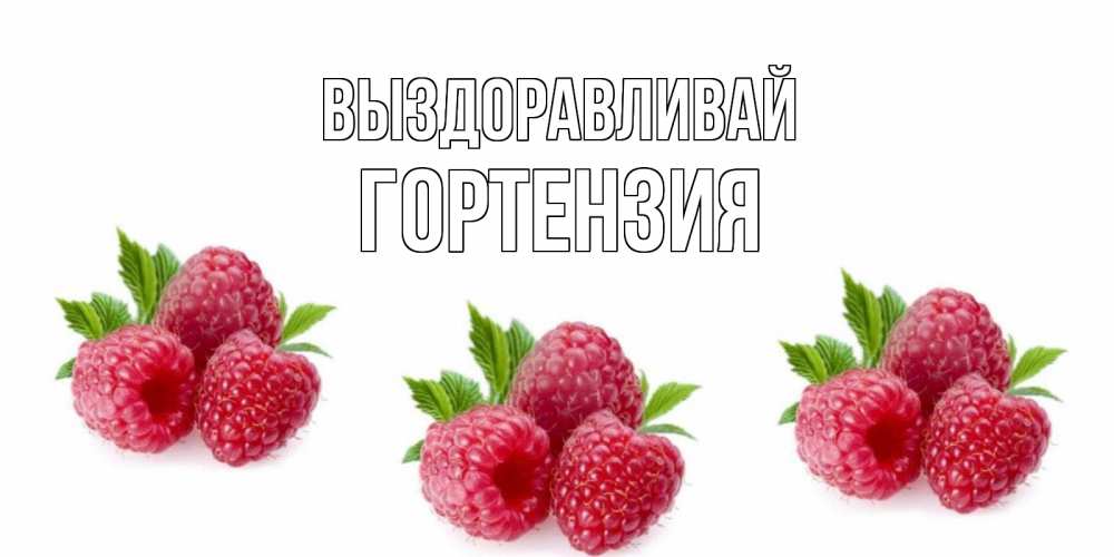 Открытка на каждый день с именем, Гортензия Выздоравливай малиновая открыта с пожеланием о выздоровлении Прикольная открытка с пожеланием онлайн скачать бесплатно 