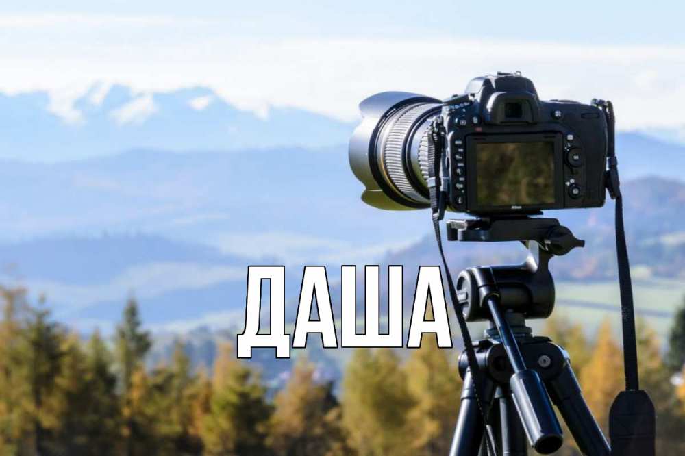 Открытка на каждый день с именем, Даша Главная с днем фотографа Прикольная открытка с пожеланием онлайн скачать бесплатно 