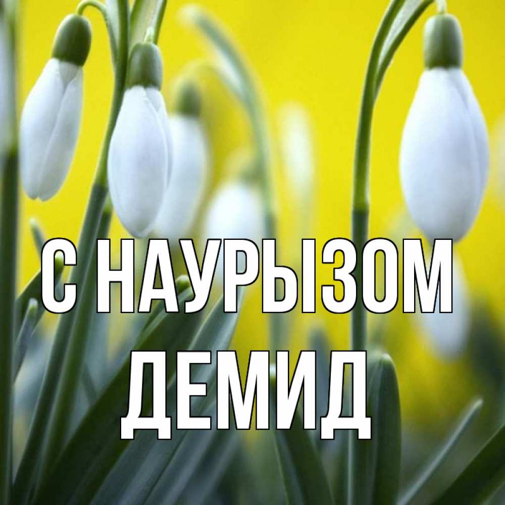 Открытка на каждый день с именем, Демид С наурызом весенние цветы Прикольная открытка с пожеланием онлайн скачать бесплатно 