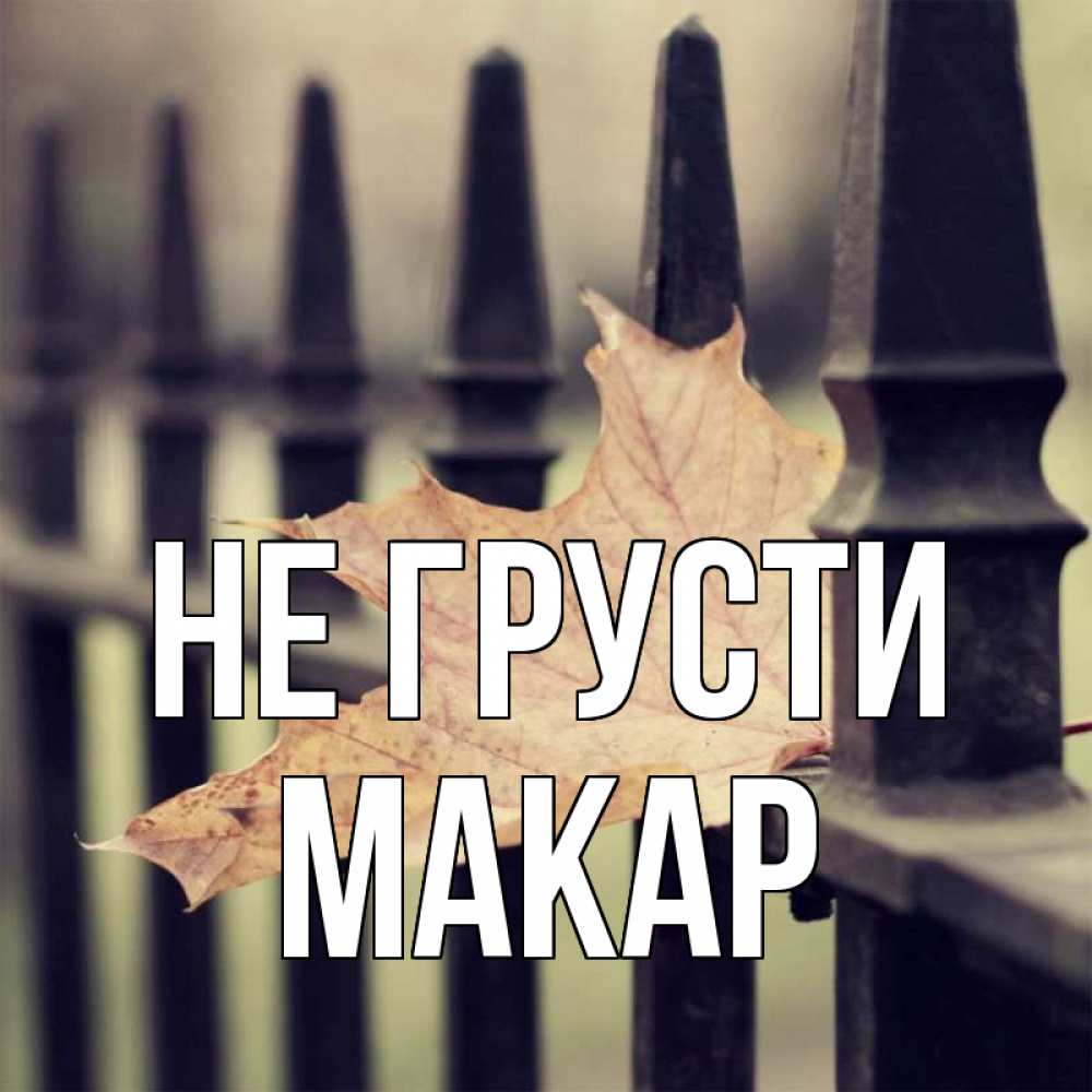 Открытка на каждый день с именем, Макар Не грусти лист клена Прикольная открытка с пожеланием онлайн скачать бесплатно 