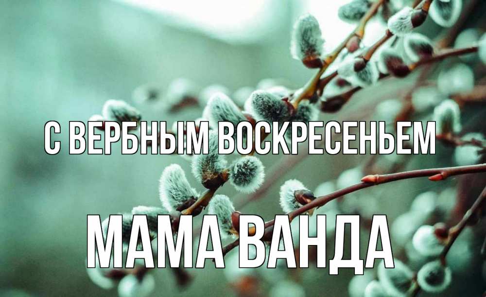 Открытка на каждый день с именем, Мама-Ванда С вербным воскресеньем верба Прикольная открытка с пожеланием онлайн скачать бесплатно 