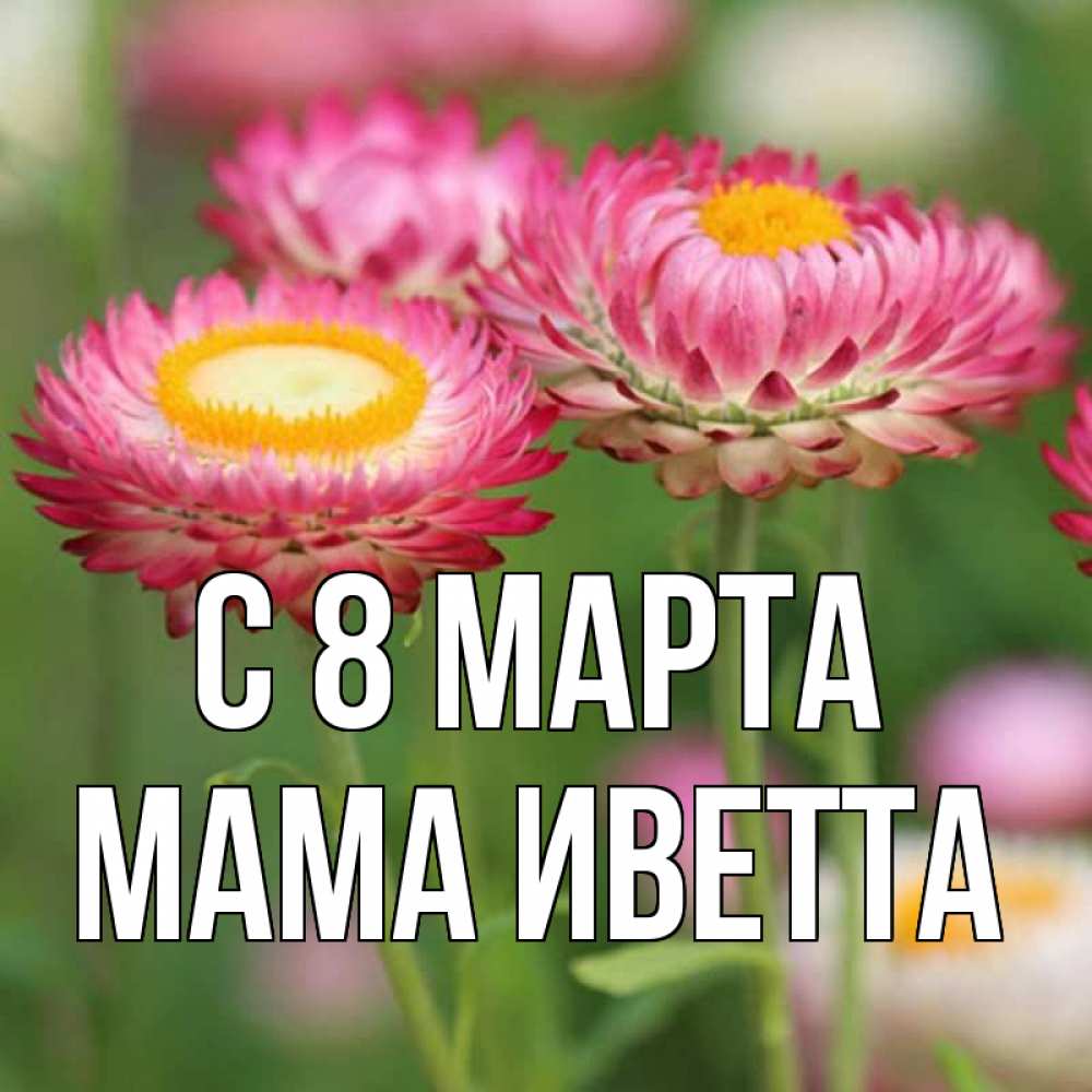 Открытка на каждый день с именем, Мама-Иветта С 8 МАРТА подарок на международный женский день Прикольная открытка с пожеланием онлайн скачать бесплатно 