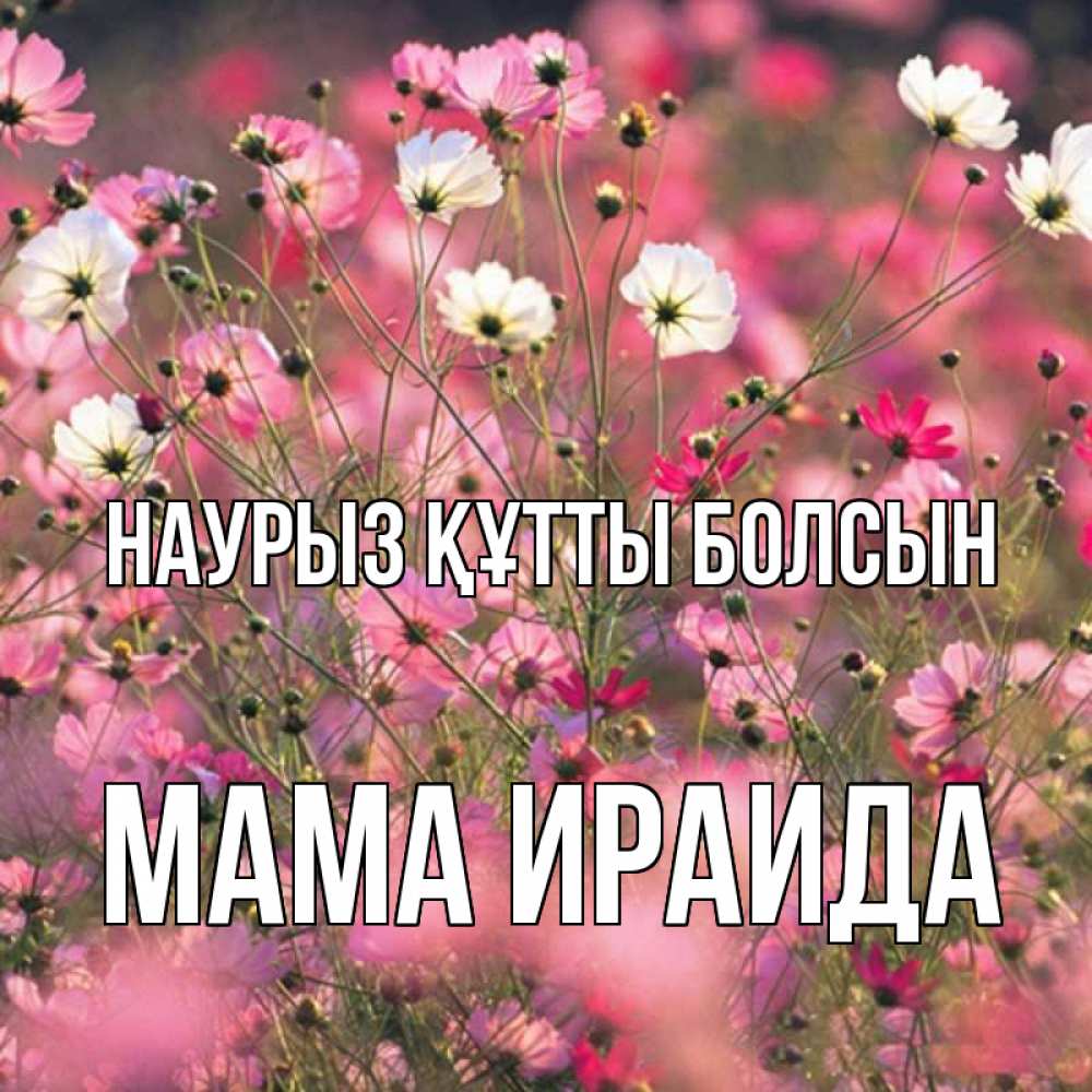 Открытка на каждый день с именем, Мама-Ираида Наурыз құтты болсын красиво 1 Прикольная открытка с пожеланием онлайн скачать бесплатно 