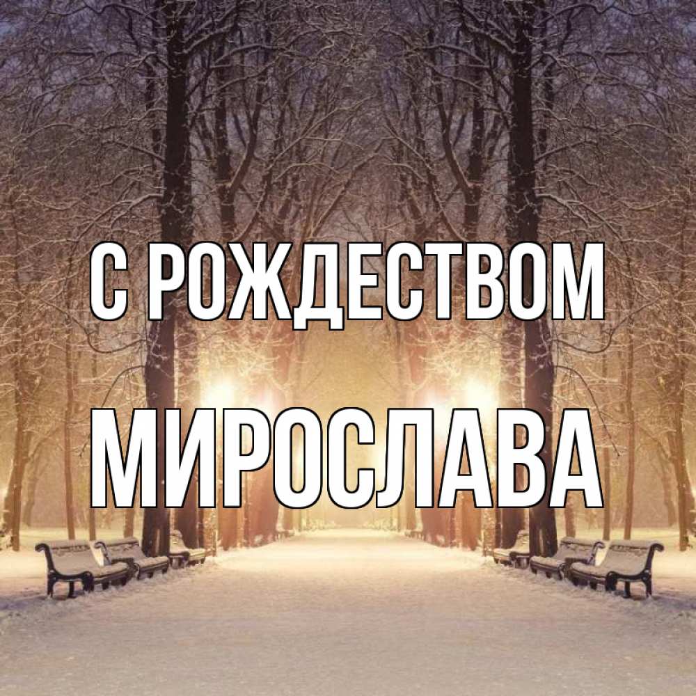 Открытка на каждый день с именем, Мирослава С рождеством зима, парк, фонарь, лес Прикольная открытка с пожеланием онлайн скачать бесплатно 