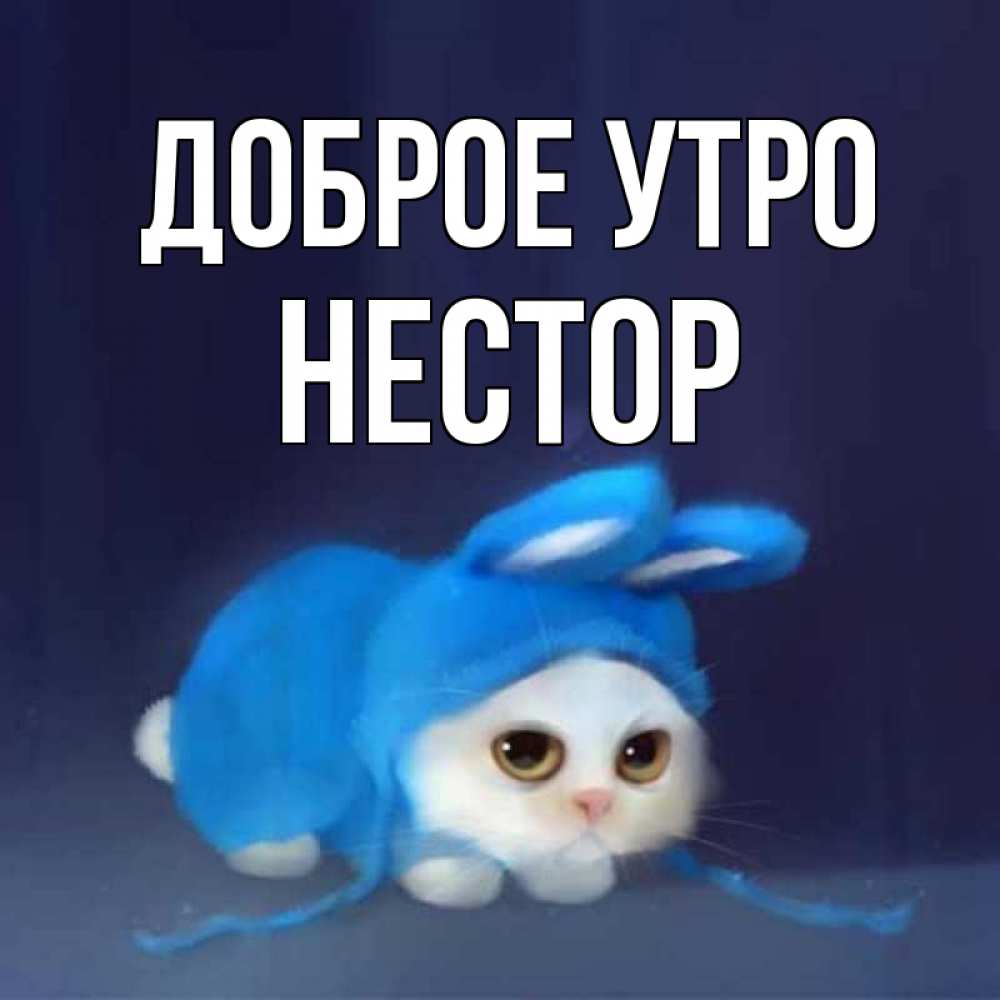 Открытка на каждый день с именем, Нестор Доброе утро открытки красивые скачать бесплатно Прикольная открытка с пожеланием онлайн скачать бесплатно 