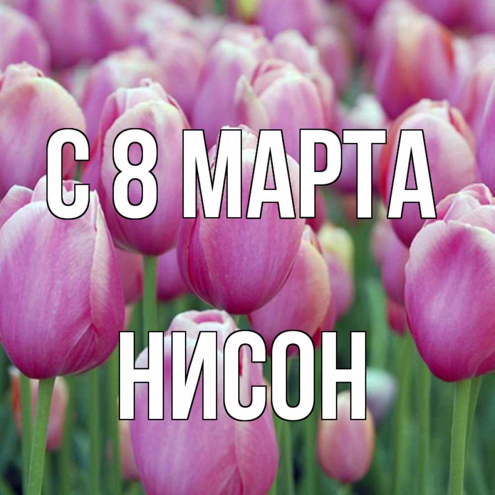 Открытка на каждый день с именем, Нисон С 8 марта на международный женский день 3 Прикольная открытка с пожеланием онлайн скачать бесплатно 