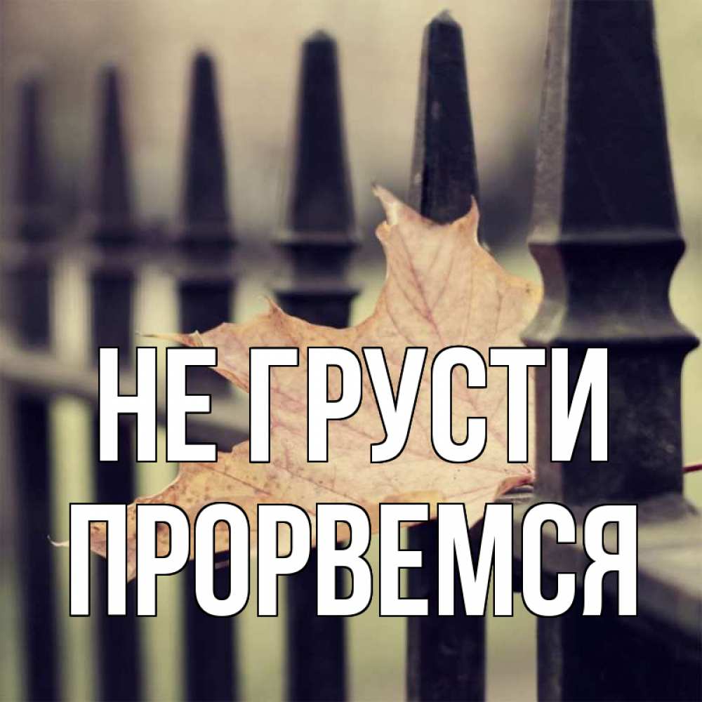 Открытка на каждый день с именем, Прорвемся Не грусти лист клена Прикольная открытка с пожеланием онлайн скачать бесплатно 