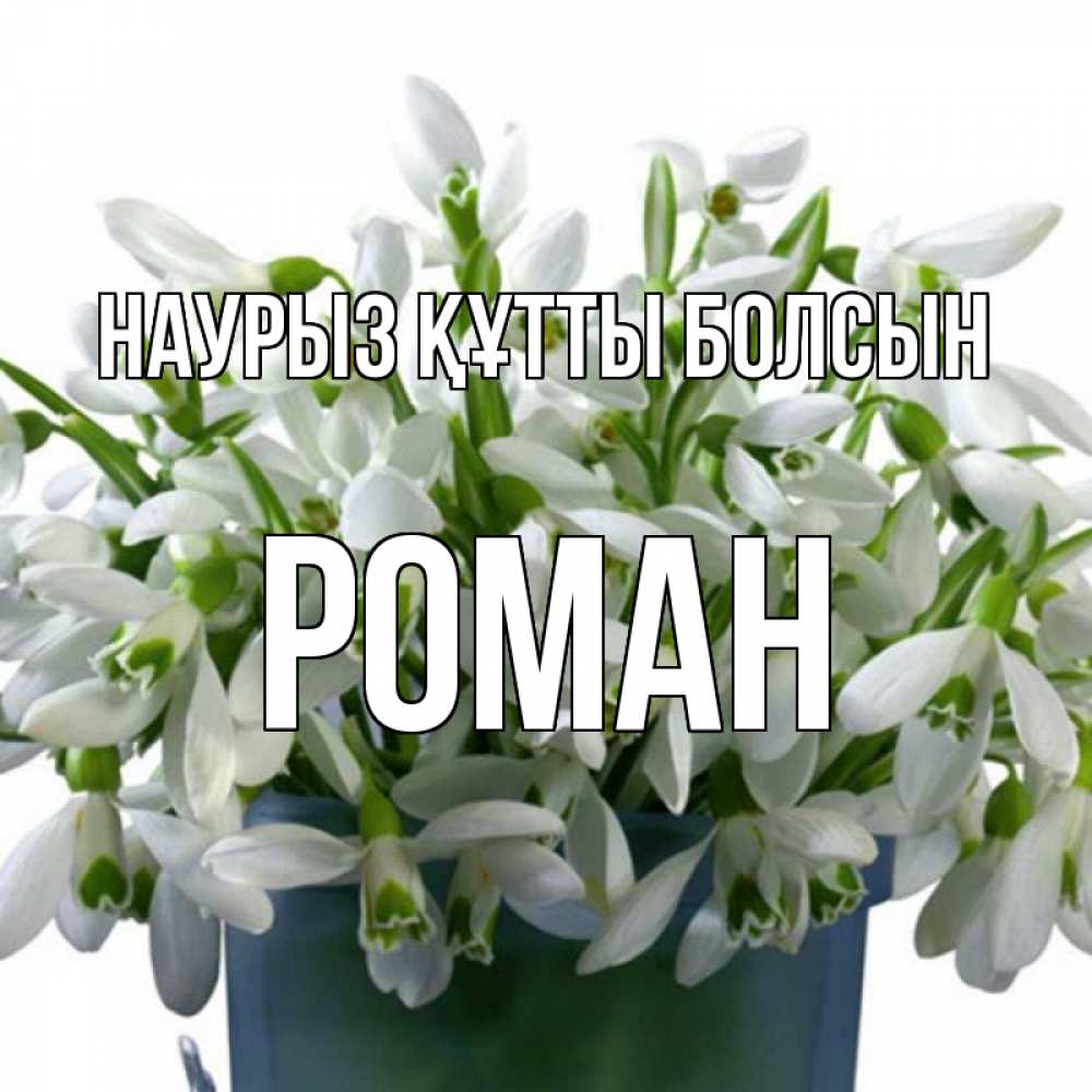 Открытка на каждый день с именем, Роман Наурыз құтты болсын цветы к наурызу Прикольная открытка с пожеланием онлайн скачать бесплатно 