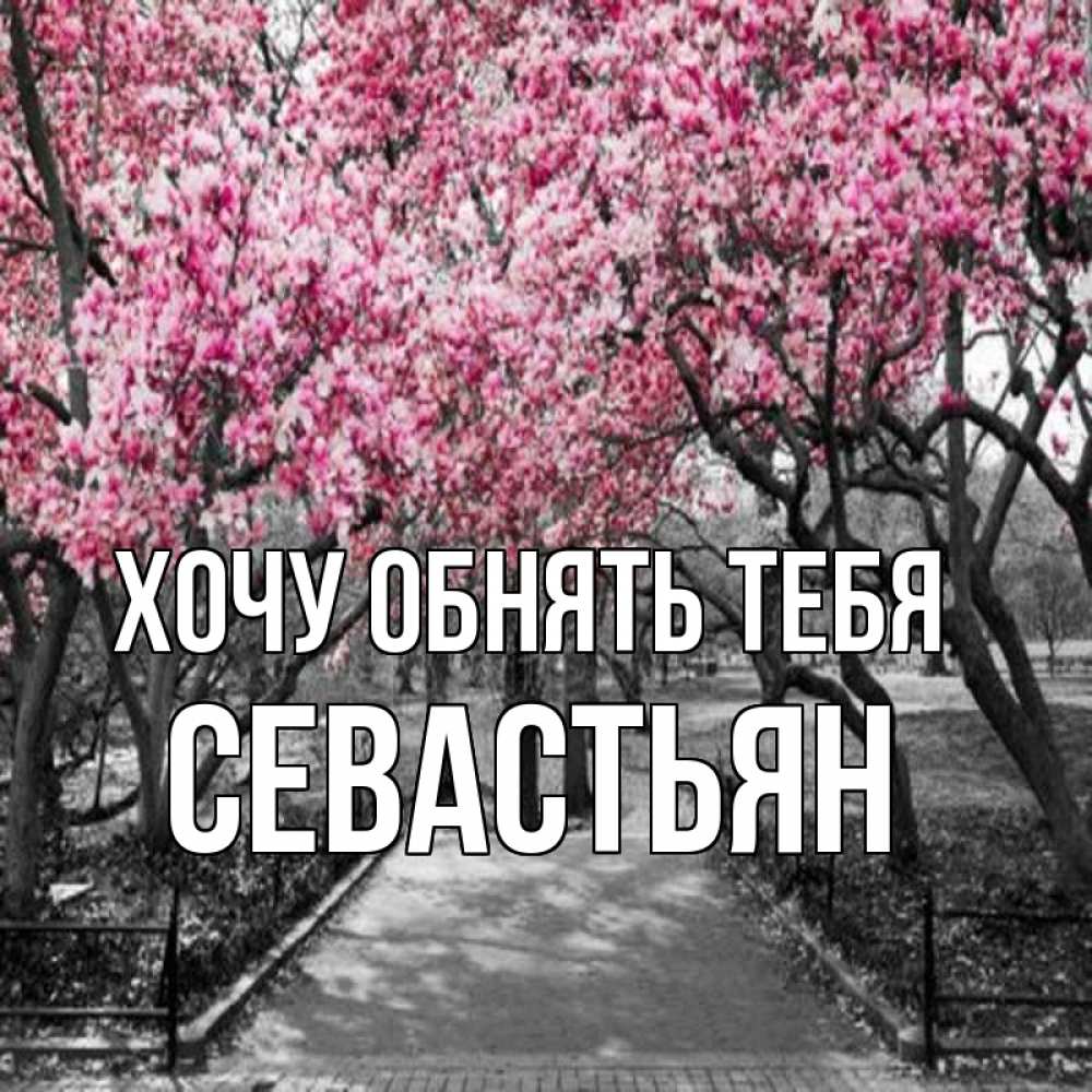 Открытка на каждый день с именем, Севастьян Хочу обнять тебя обработанное фото Прикольная открытка с пожеланием онлайн скачать бесплатно 