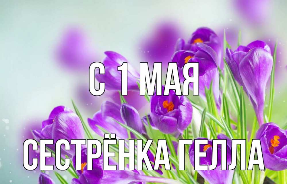 Открытка на каждый день с именем, Сестрёнка-Гелла С 1 мая 1 мая Прикольная открытка с пожеланием онлайн скачать бесплатно 
