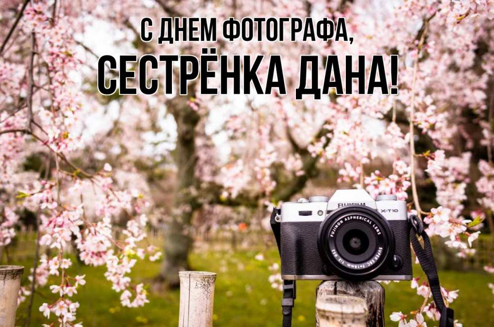 Открытка на каждый день с именем, Сестрёнка-Дана С днем фотографа сирень с днем фотографа, фотоаппарат Прикольная открытка с пожеланием онлайн скачать бесплатно 