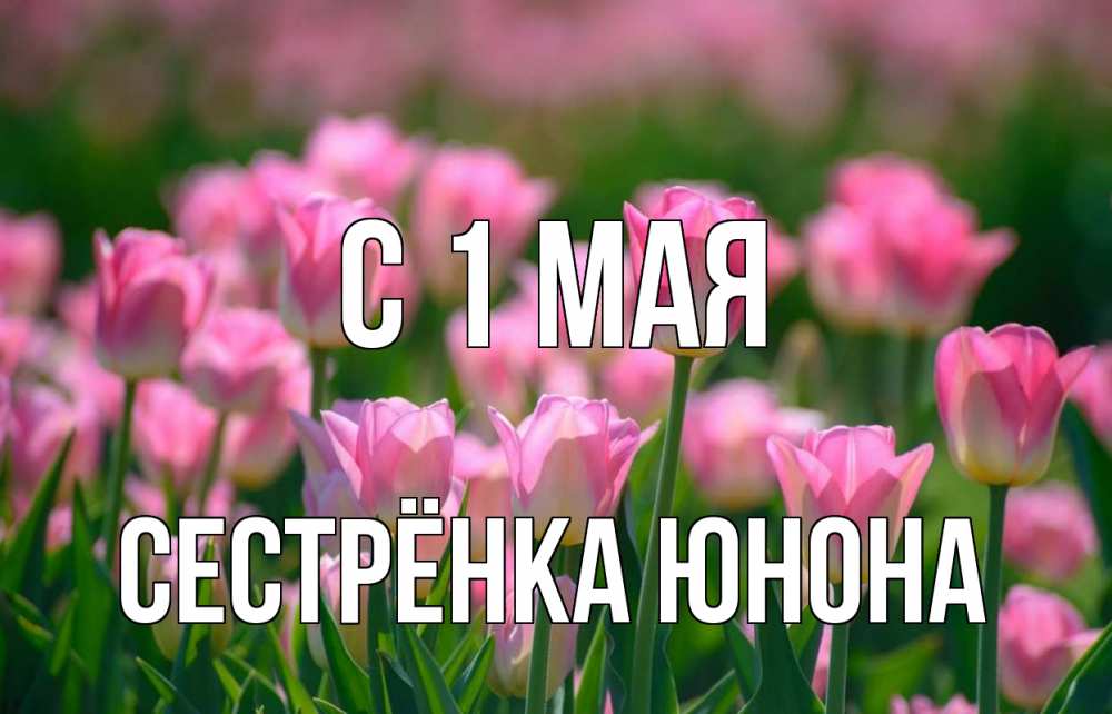 Открытка на каждый день с именем, Сестрёнка-Юнона С 1 мая С 1 мая Прикольная открытка с пожеланием онлайн скачать бесплатно 