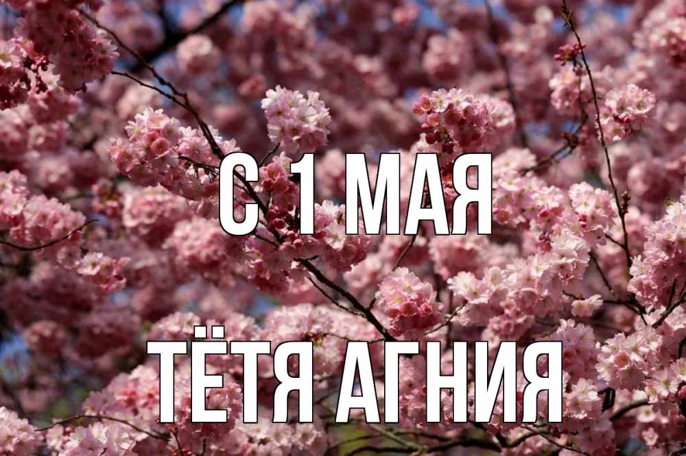 Открытка на каждый день с именем, Тётя-Агния С 1 мая С 1 мая Прикольная открытка с пожеланием онлайн скачать бесплатно 