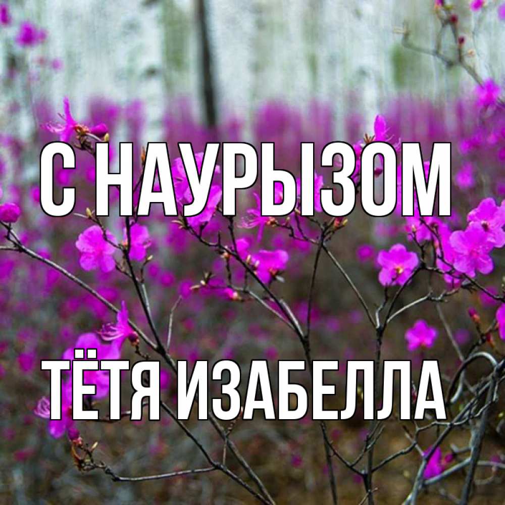 Открытка на каждый день с именем, Тётя-Изабелла С наурызом дикие цветы Прикольная открытка с пожеланием онлайн скачать бесплатно 