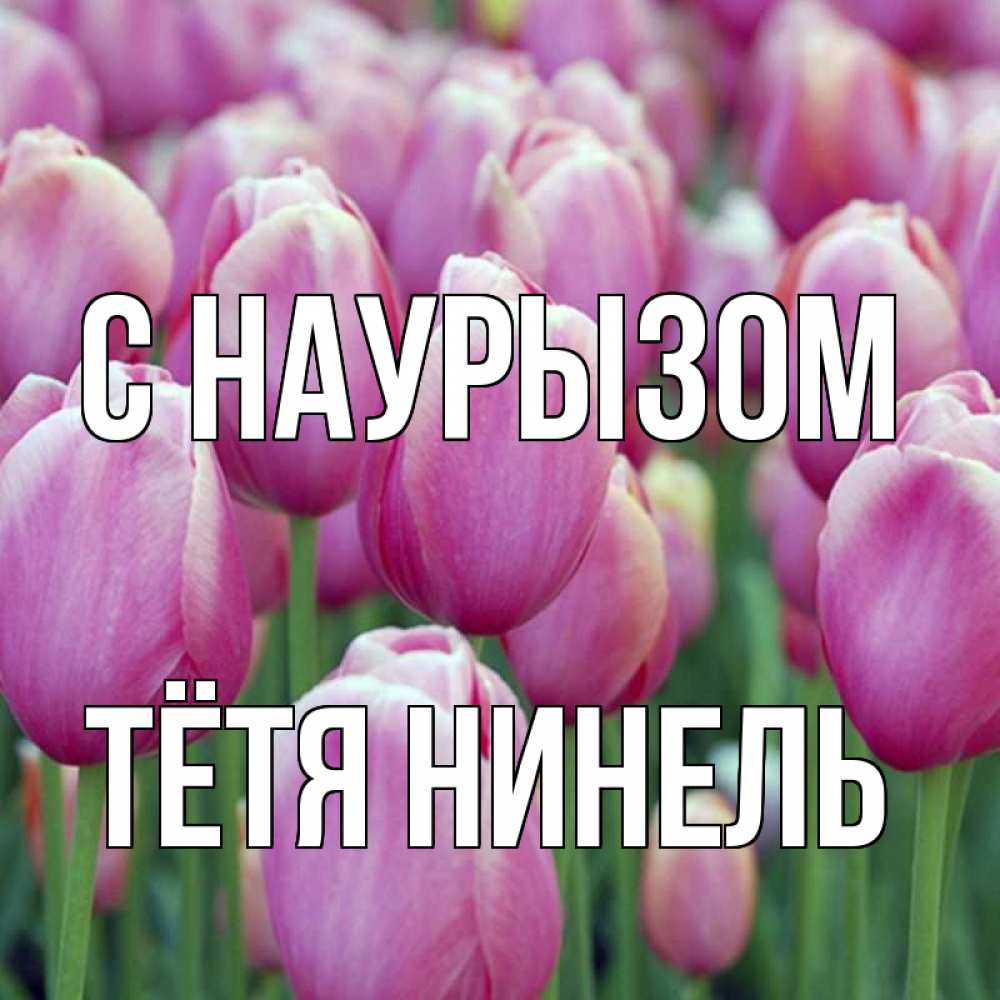Открытка на каждый день с именем, Тётя-Нинель С наурызом праздник весны наурыз 69 Прикольная открытка с пожеланием онлайн скачать бесплатно 