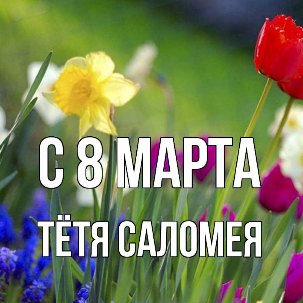 Открытка на каждый день с именем, Тётя-Саломея С 8 МАРТА международный женский день 3 Прикольная открытка с пожеланием онлайн скачать бесплатно 