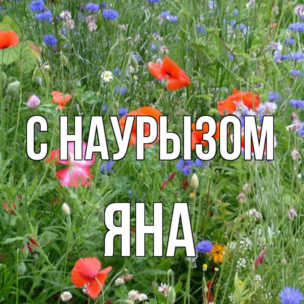 Открытка на каждый день с именем, Яна С наурызом праздник весны наурыз супер открытка Прикольная открытка с пожеланием онлайн скачать бесплатно 