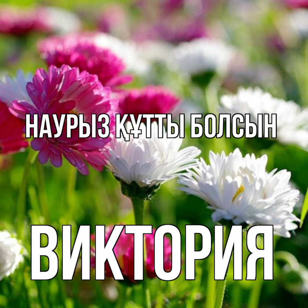 Открытка на каждый день с именем, Виктория Наурыз құтты болсын наурыз Прикольная открытка с пожеланием онлайн скачать бесплатно 