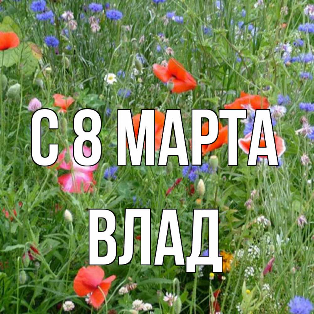 Открытка на каждый день с именем, Влад С 8 МАРТА международный женский день 4 Прикольная открытка с пожеланием онлайн скачать бесплатно 
