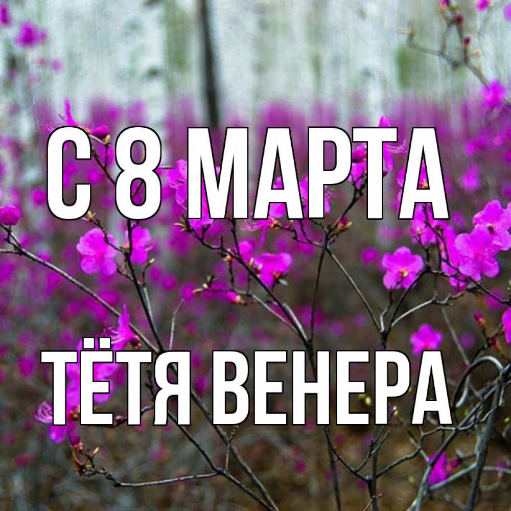 Картинка С 8 МАРТА, Тётя Венера