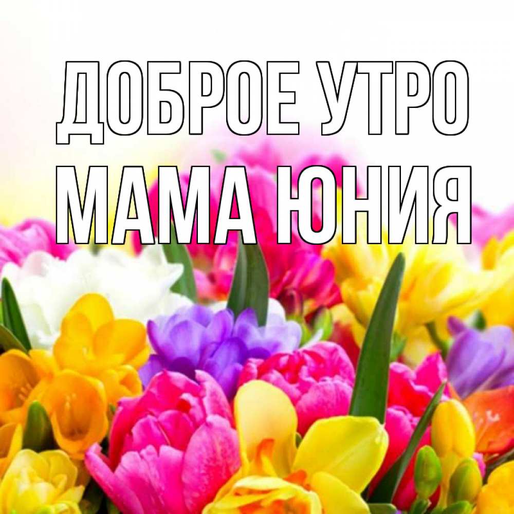 Открытка на каждый день с именем, Мама-Юния Доброе утро создать открытку со свое подписью Прикольная открытка с пожеланием онлайн скачать бесплатно 