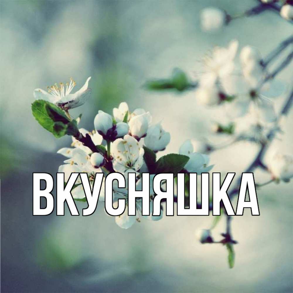 Открытка на каждый день с именем, Вкусняшка Главная весна Прикольная открытка с пожеланием онлайн скачать бесплатно 