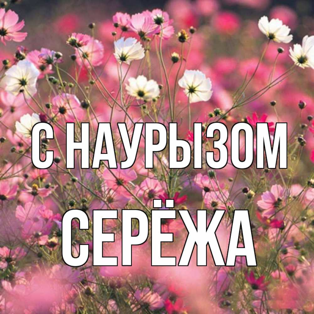 Картинка С наурызом, Серёжа