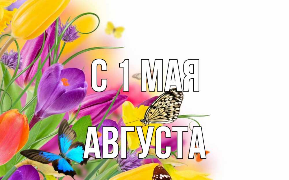 Открытка на каждый день с именем, Августа С 1 мая С 1 мая Прикольная открытка с пожеланием онлайн скачать бесплатно 