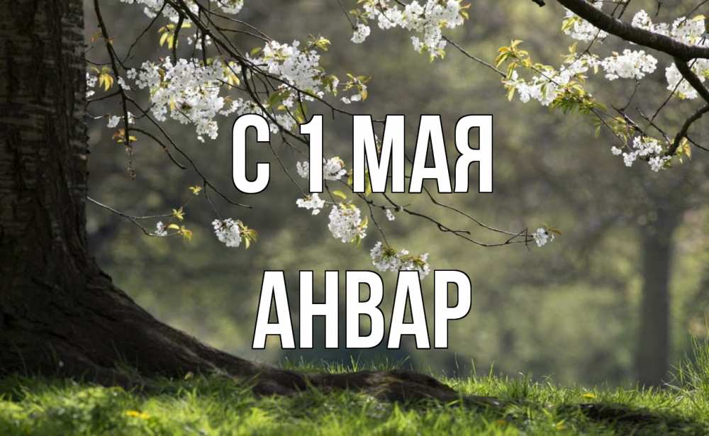 Открытка на каждый день с именем, Анвар С 1 мая С 1 мая Прикольная открытка с пожеланием онлайн скачать бесплатно 