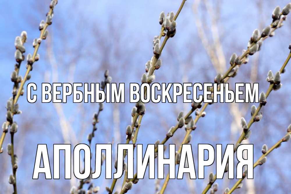 Открытка на каждый день с именем, Аполлинария С вербным воскресеньем верба Прикольная открытка с пожеланием онлайн скачать бесплатно 