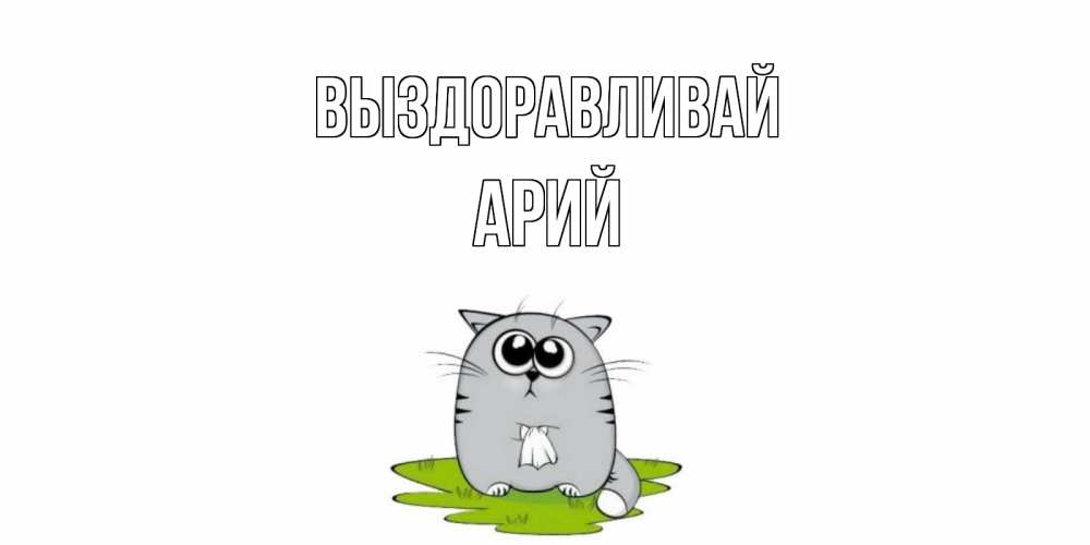 Открытка на каждый день с именем, Арий Выздоравливай кот и открытки про выздоровление Прикольная открытка с пожеланием онлайн скачать бесплатно 