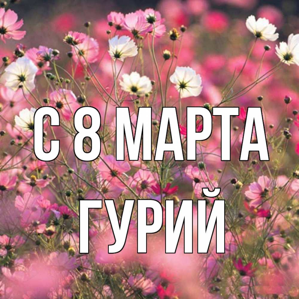 Открытка на каждый день с именем, Гурий С 8 МАРТА красиво 1 Прикольная открытка с пожеланием онлайн скачать бесплатно 