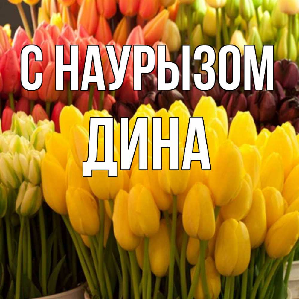 Открытка на каждый день с именем, Дина С наурызом цветы Прикольная открытка с пожеланием онлайн скачать бесплатно 