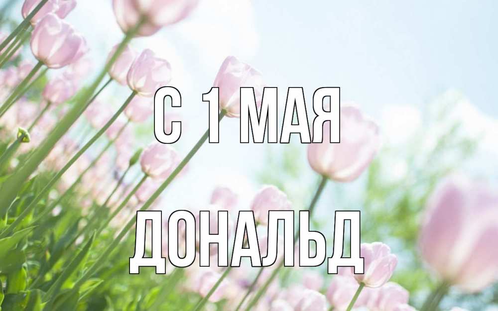 Открытка на каждый день с именем, Дональд С 1 мая С 1 мая Прикольная открытка с пожеланием онлайн скачать бесплатно 