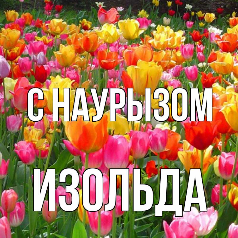 Открытка на каждый день с именем, Изольда С наурызом праздник весны наурыз 4 Прикольная открытка с пожеланием онлайн скачать бесплатно 