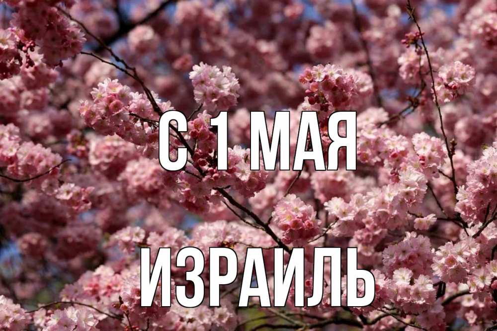 Открытка на каждый день с именем, Израиль С 1 мая С 1 мая Прикольная открытка с пожеланием онлайн скачать бесплатно 