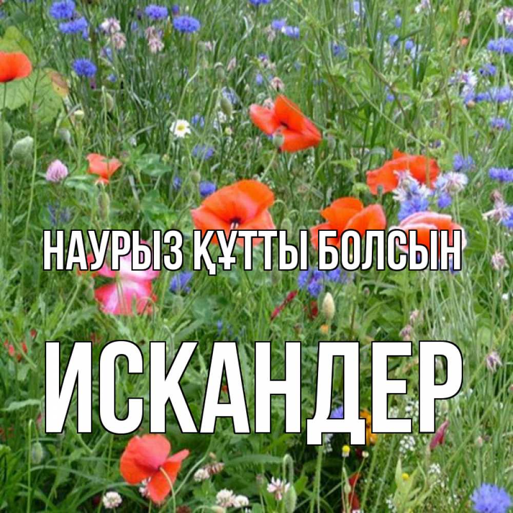 Открытка на каждый день с именем, Искандер Наурыз құтты болсын наурыз  4 Прикольная открытка с пожеланием онлайн скачать бесплатно 