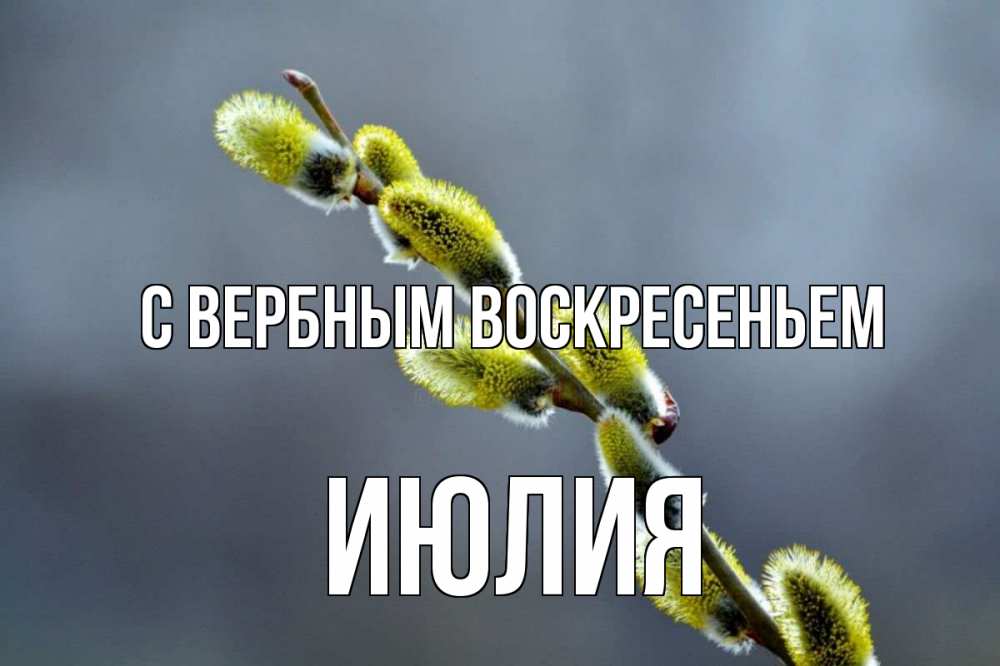 Открытка на каждый день с именем, Июлия С вербным воскресеньем верба Прикольная открытка с пожеланием онлайн скачать бесплатно 