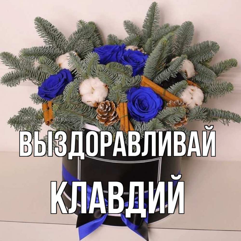 Открытка на каждый день с именем, Клавдий Выздоравливай короче кто то загрузил эти шишки Прикольная открытка с пожеланием онлайн скачать бесплатно 
