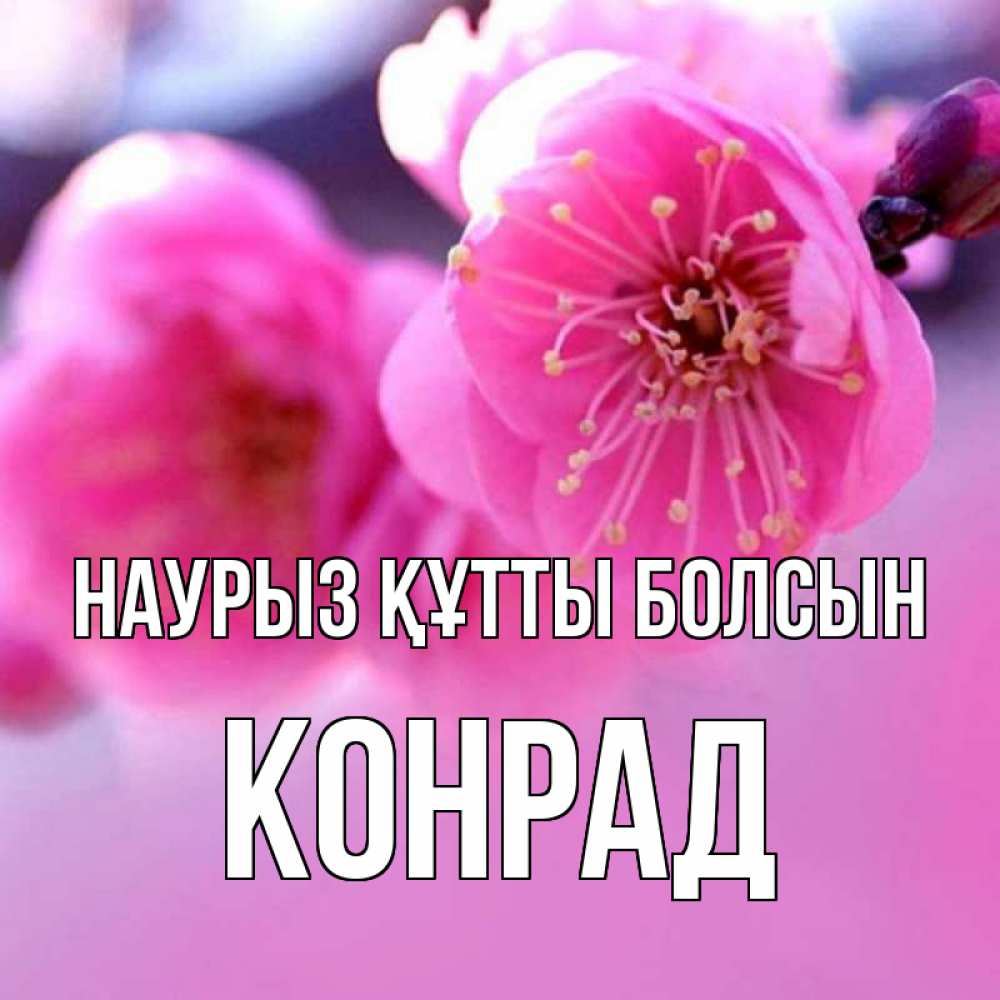 Открытка на каждый день с именем, Конрад Наурыз құтты болсын наурыз мейрам Прикольная открытка с пожеланием онлайн скачать бесплатно 