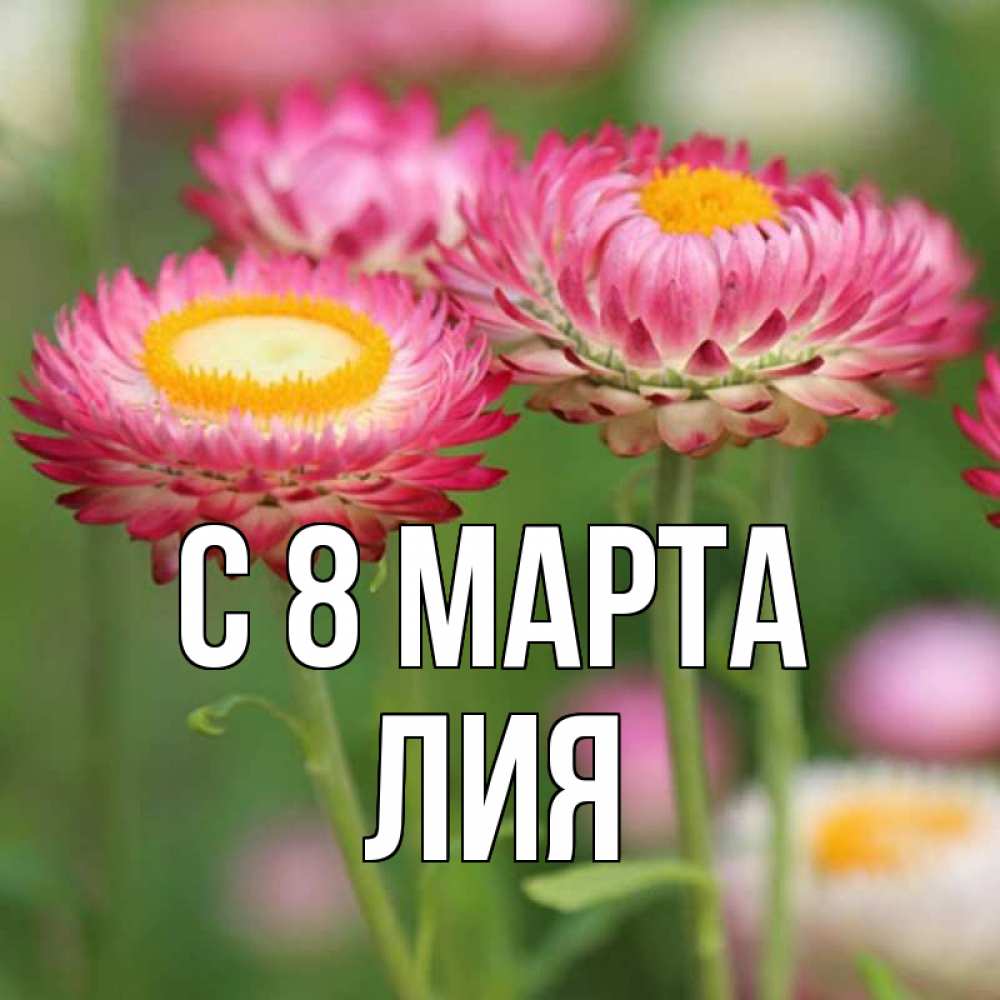 Открытка на каждый день с именем, Лия С 8 марта подарок на международный женский день Прикольная открытка с пожеланием онлайн скачать бесплатно 