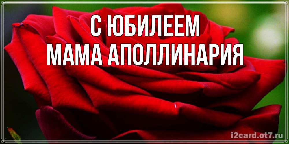 Открытка на каждый день с именем, Мама-Аполлинария С юбилеем розочка очень красивая Прикольная открытка с пожеланием онлайн скачать бесплатно 