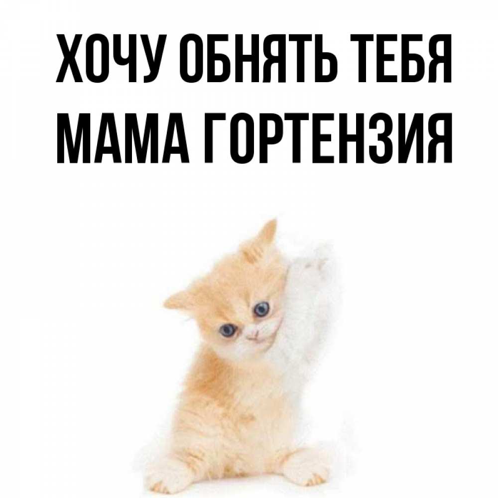 Открытка на каждый день с именем, Мама-Гортензия Хочу обнять тебя я хочу очень скорее обнимаешек Прикольная открытка с пожеланием онлайн скачать бесплатно 