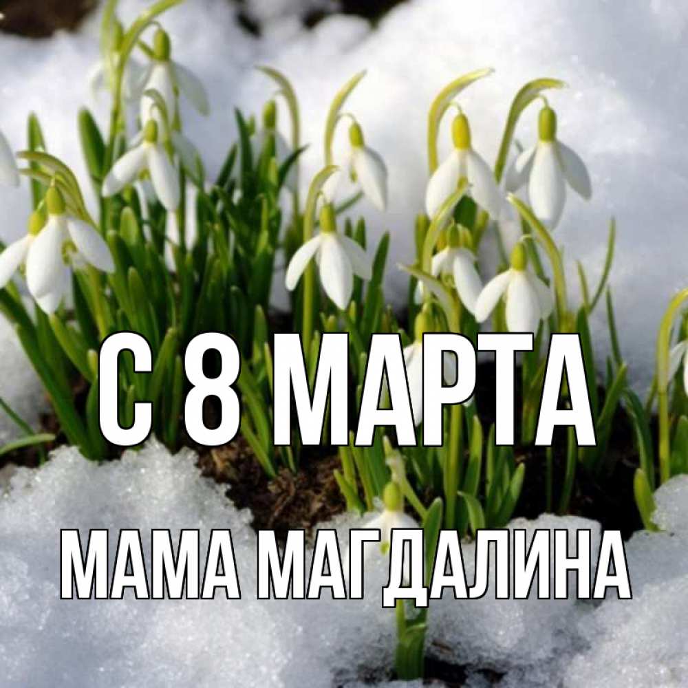 Открытка на каждый день с именем, Мама-Магдалина С 8 марта цветы весенние Прикольная открытка с пожеланием онлайн скачать бесплатно 