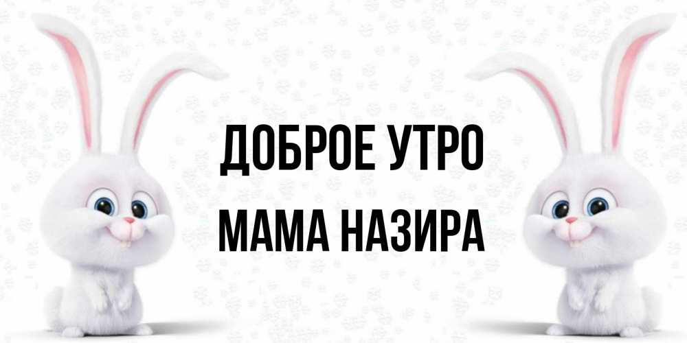 Открытка на каждый день с именем, Мама-Назира Доброе утро кролики с длинными ушками Прикольная открытка с пожеланием онлайн скачать бесплатно 