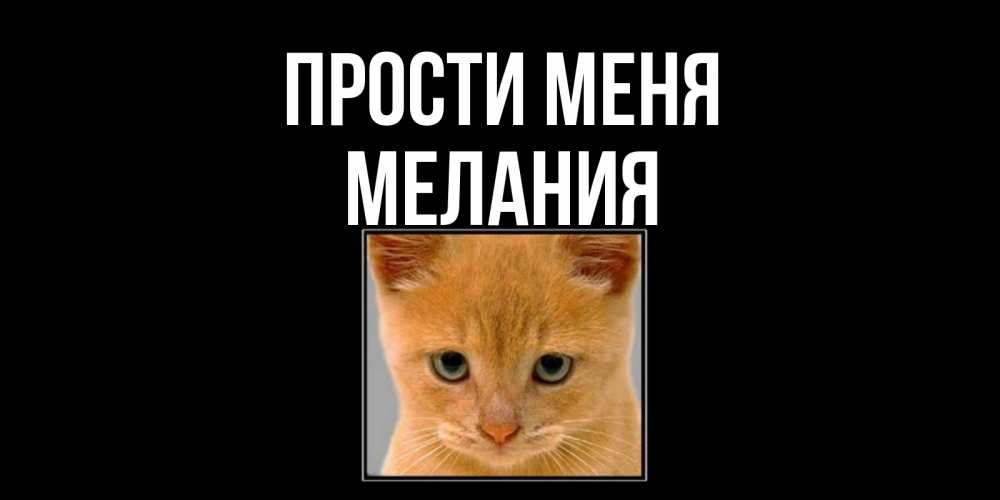 Открытка на каждый день с именем, Мелания Прости меня рыжий грустный кот просит прощения Прикольная открытка с пожеланием онлайн скачать бесплатно 