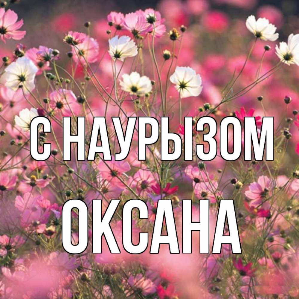 Открытка на каждый день с именем, Оксана С наурызом красиво 1 Прикольная открытка с пожеланием онлайн скачать бесплатно 