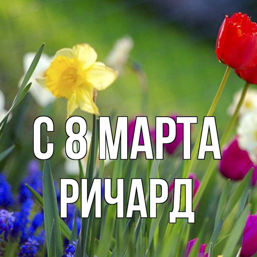 Открытка на каждый день с именем, Ричард С 8 МАРТА международный женский день 3 Прикольная открытка с пожеланием онлайн скачать бесплатно 
